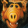 ALF
