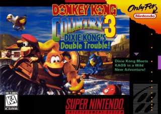 Donkey Kong Country 3: Dixie Kong's Double Trouble! — обложка