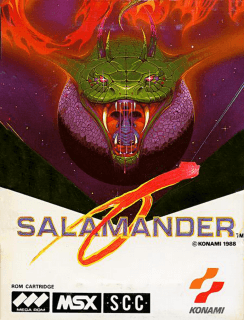 Salamander — обложка
