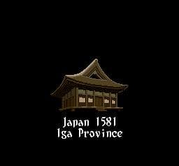 Inindo: Way of the Ninja (aka 伊忍道打倒信長) — обложка