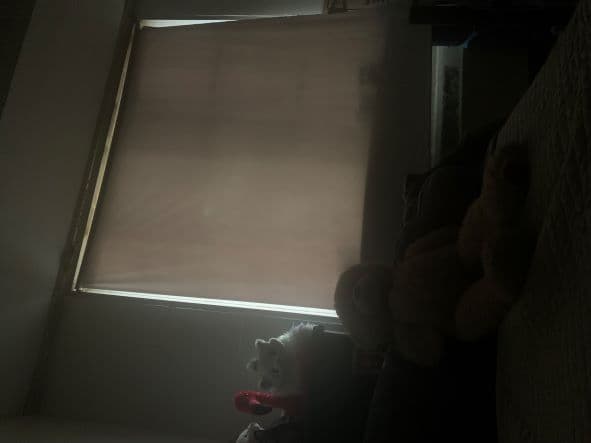 Bronx — обложка