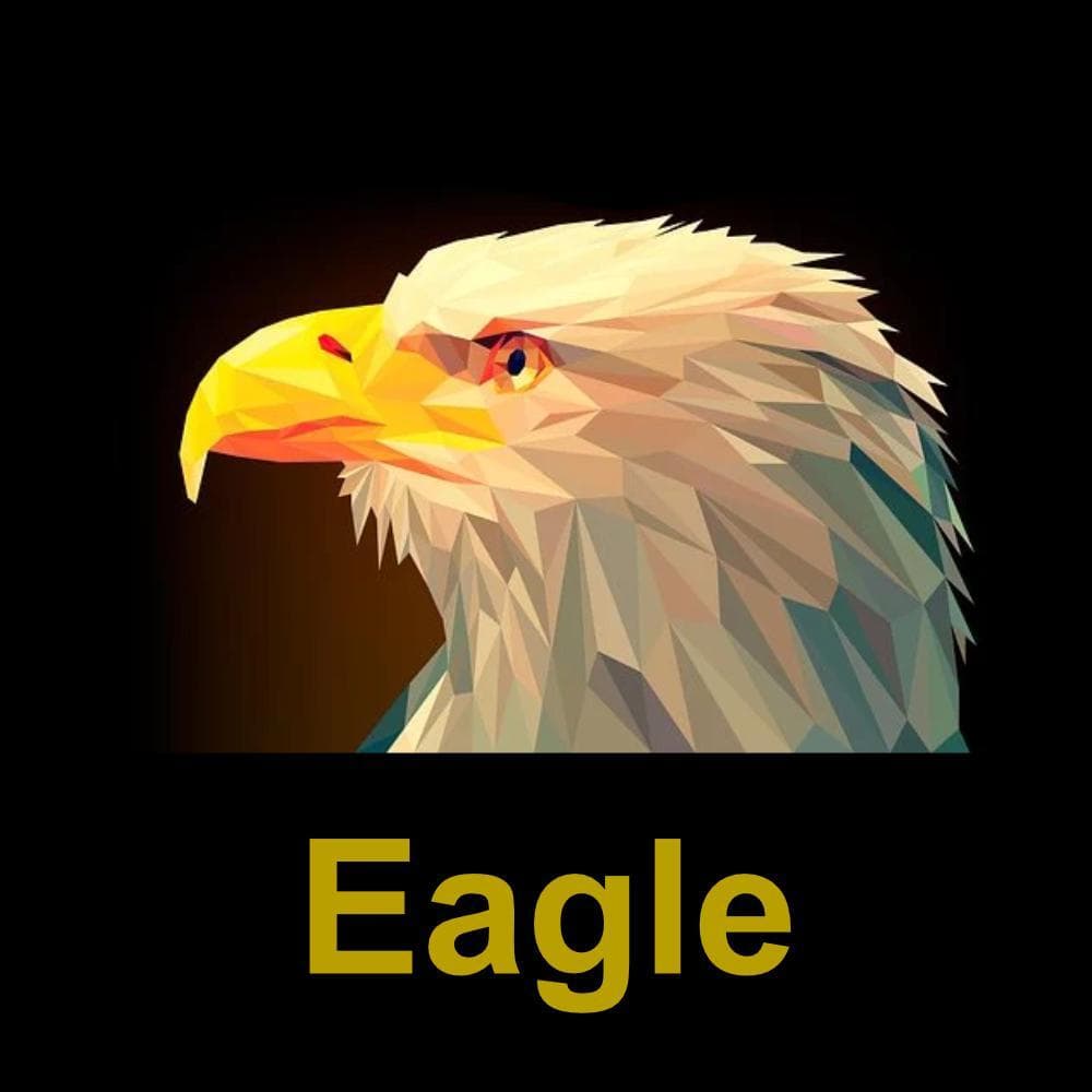 Eagle — обложка