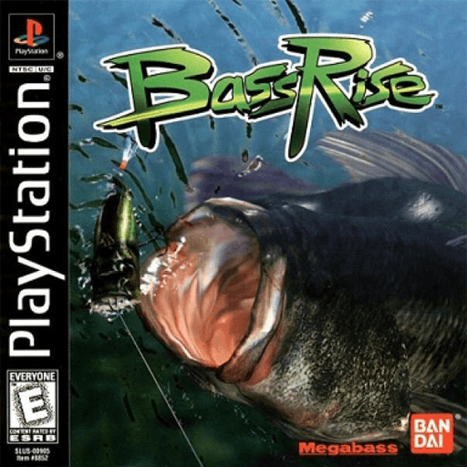 Bass Rise — обложка