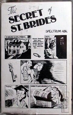 Secret of St. Brides, The — обложка