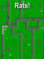 Rats!