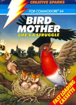 Bird Mother — обложка