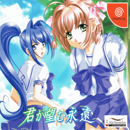 Kimi ga Nozomu Eien — обложка