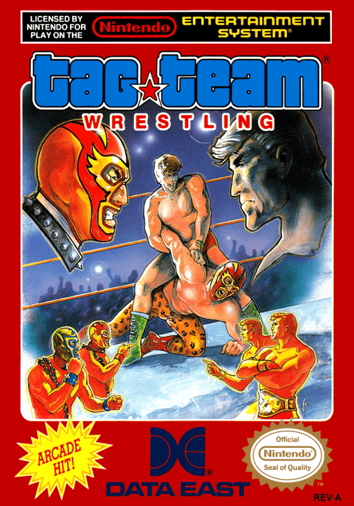 Tag Team Wrestling — обложка
