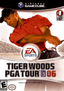 Tiger Woods PGA Tour 06