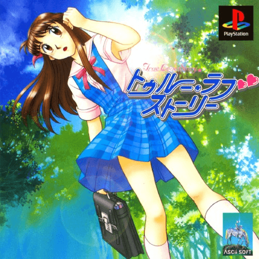 True Love Story — обложка